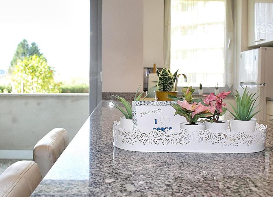 Arrabida Luxury Studio Vila Nova de Gaia Dış mekan fotoğraf